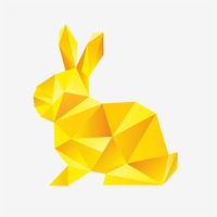 Фото-дизайн студия «Жёлтый кролик»