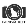 Фотостудия Белый Кот